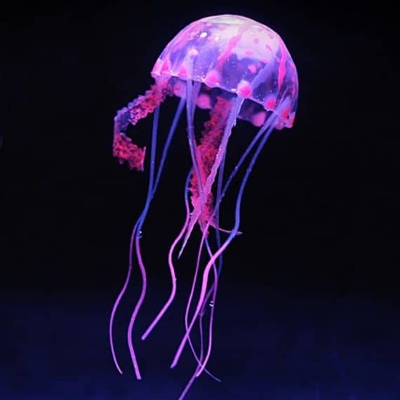 Aquarium Articles Decoration Silicone Simulation Fluorescent Sucker ...